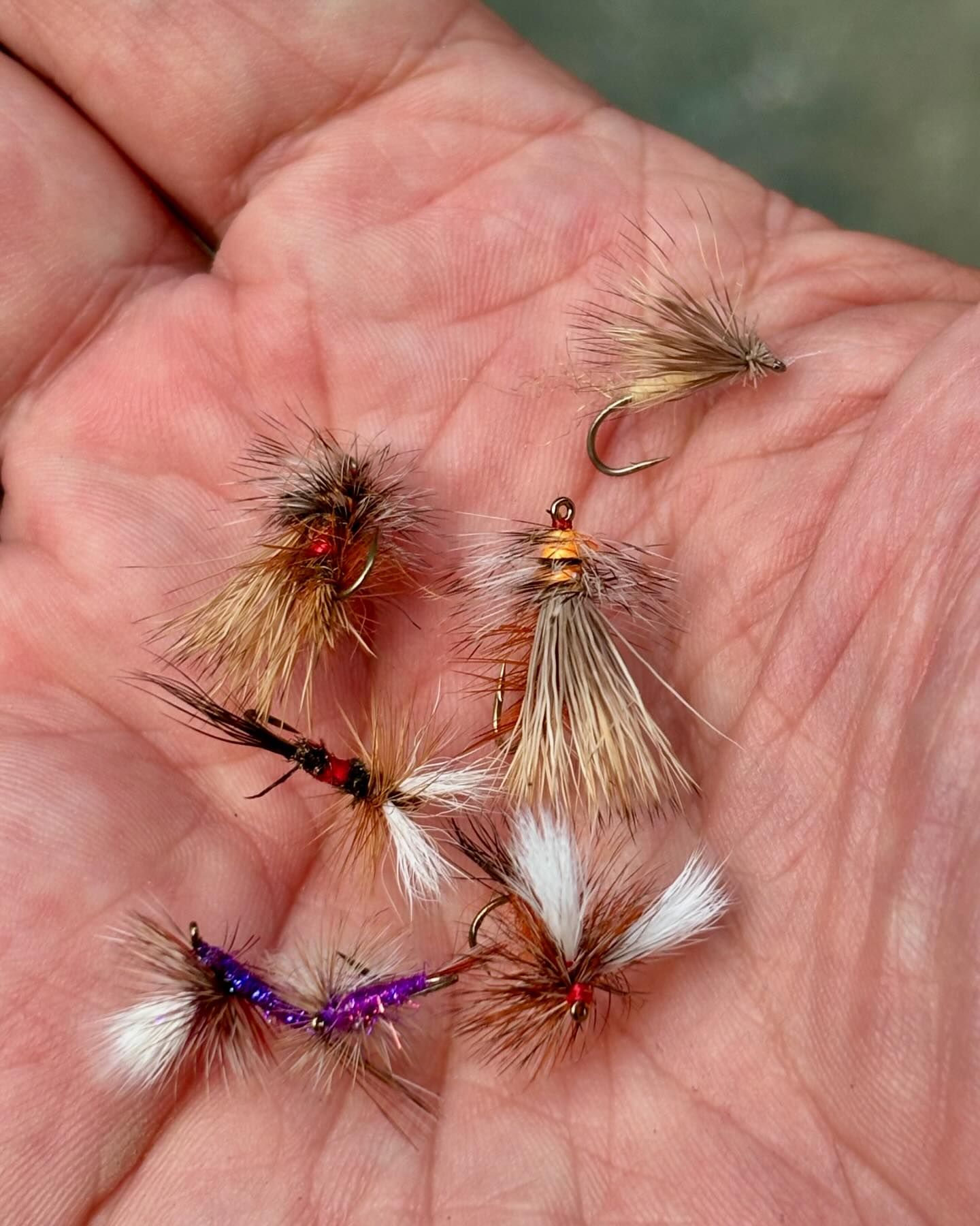 fly fishing the catskills