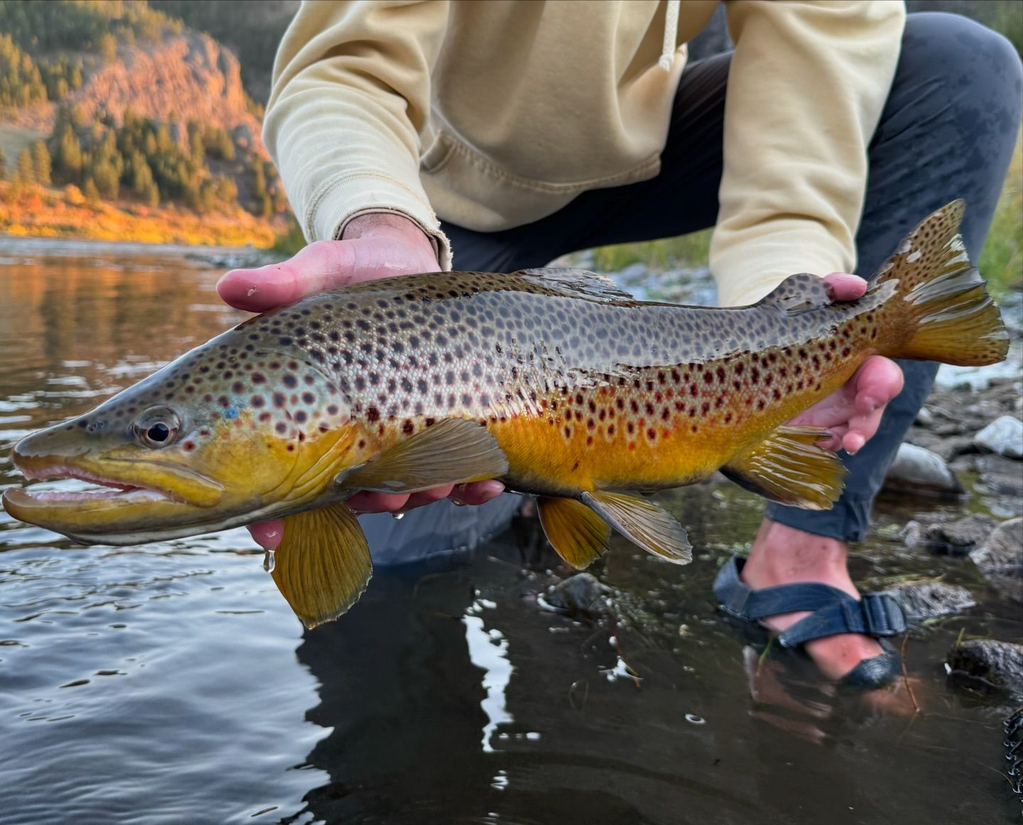 fly fishing the missouri river