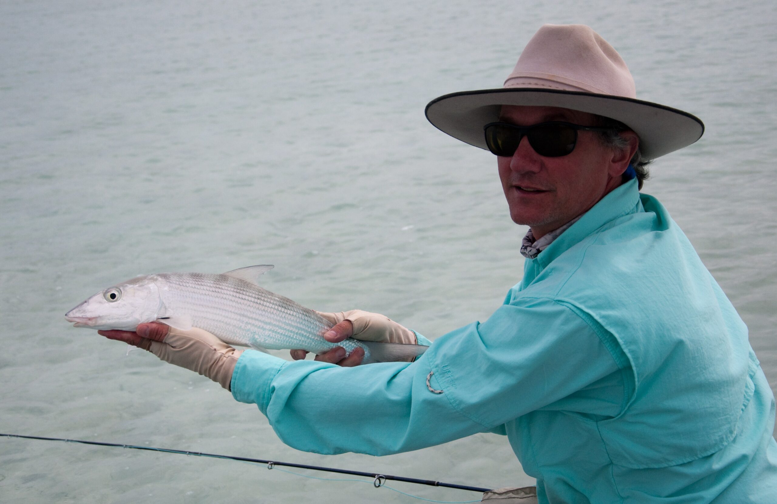 fly fish food jimmy's