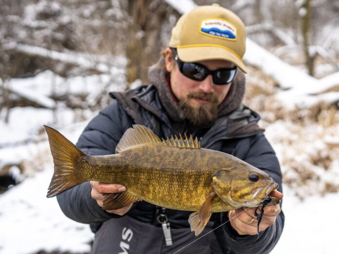 Catching Smallmouth bass