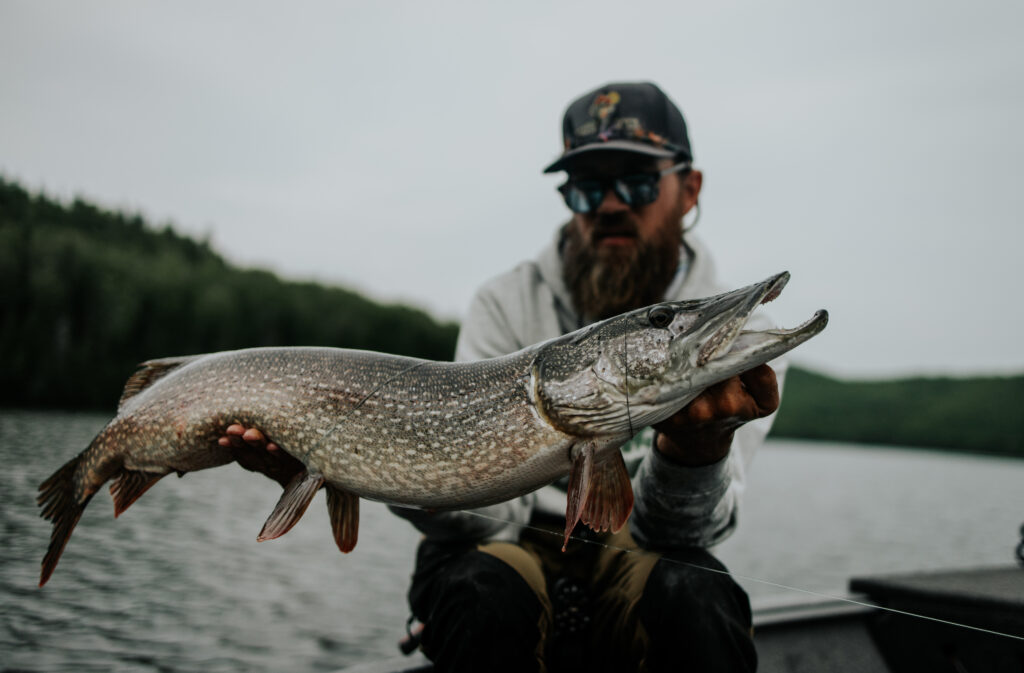 Fishing for Northern Pike 