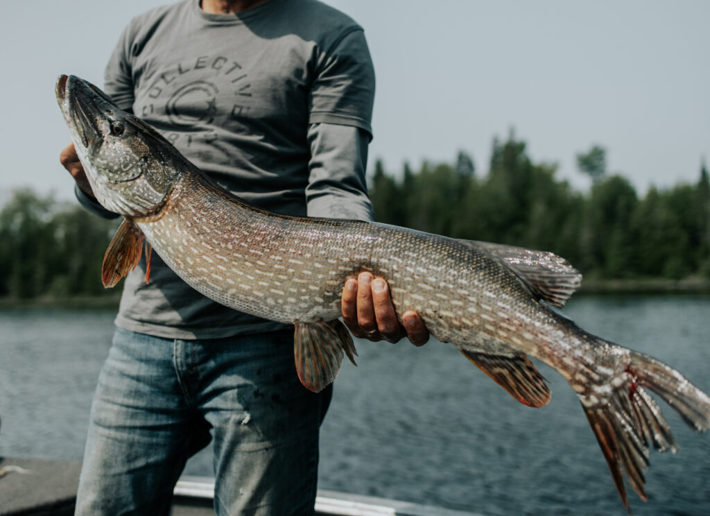 Fishing for Northern Pike 