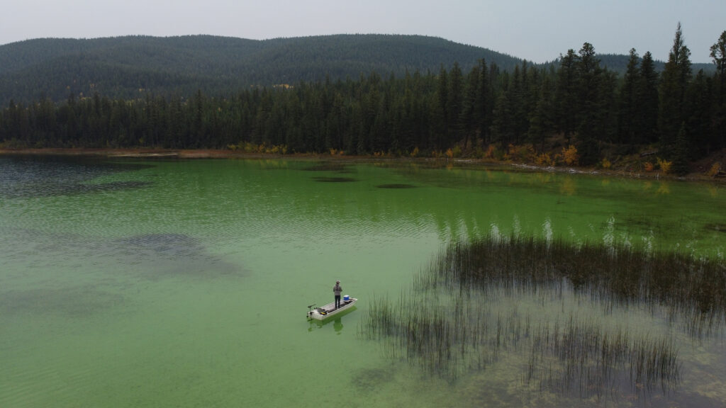 Marl and Chara Shoal - How Lakes Work 