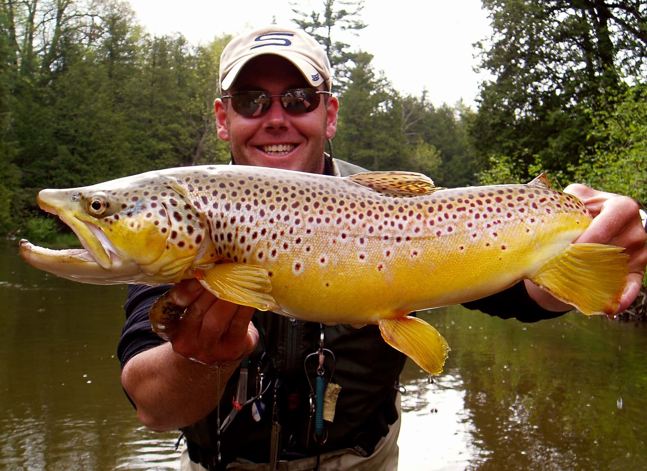 Streamer Fishing for Trout
