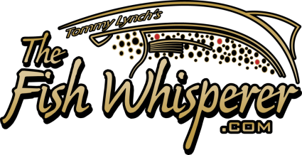 Streamer Fishing for Trout 