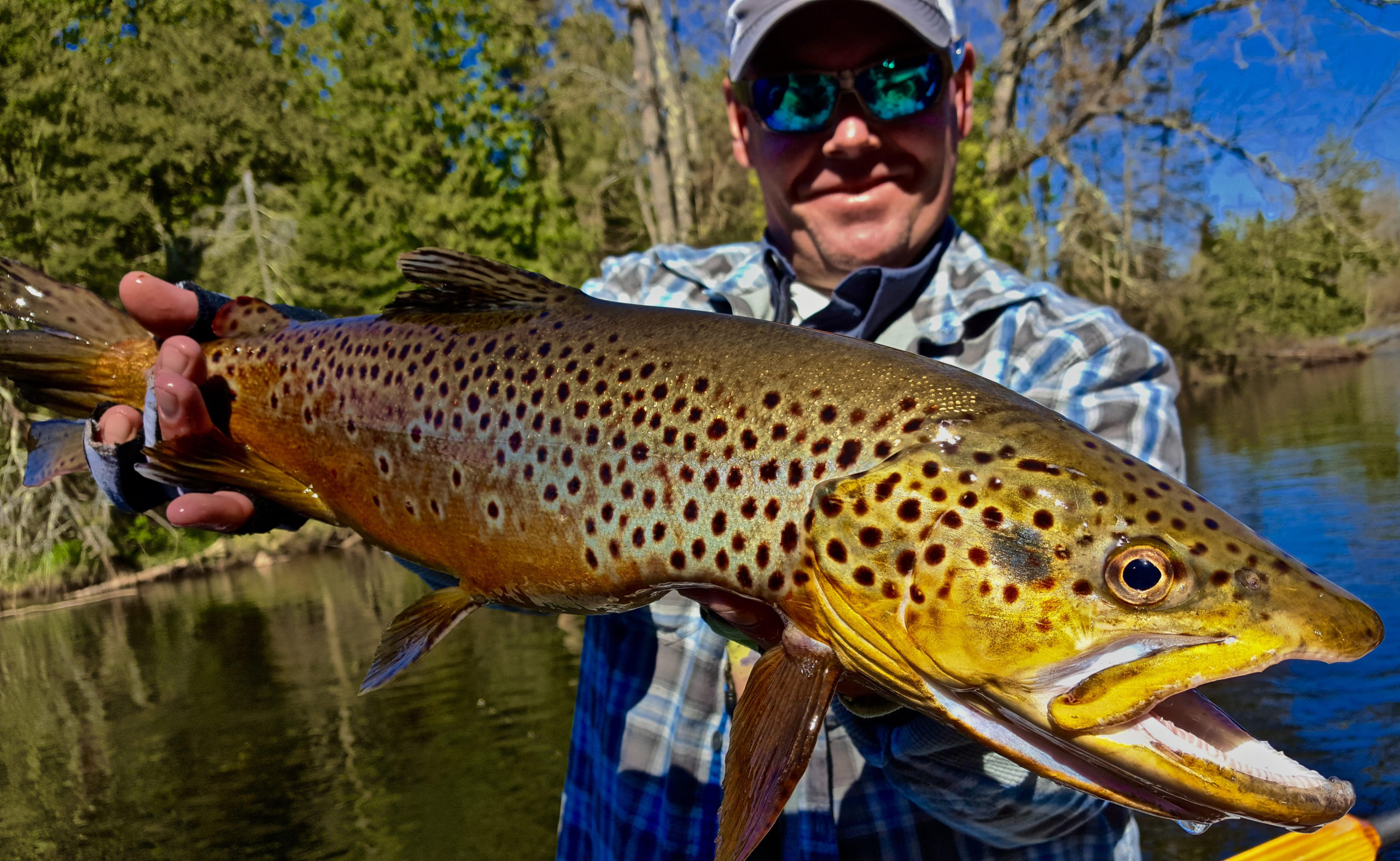 streamer fishing for trout