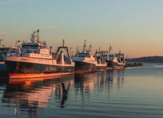 734 | The Bycatch Crisis with Adam Cuthriell: How Trawlers are Killing Alaska’s Wild Salmon bycatch