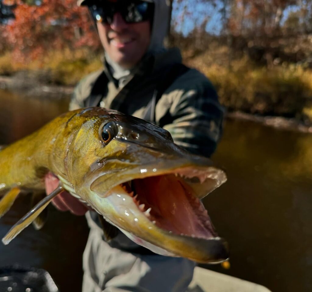 Musky Fishing the Northwoods