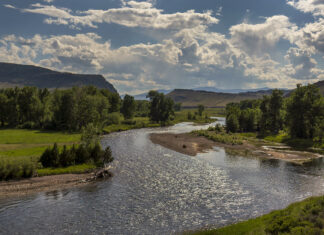 742 | Saving the Big Hole River with Brian Wheeler: Trout Declines, Water Quality & Conservation Efforts big hole river