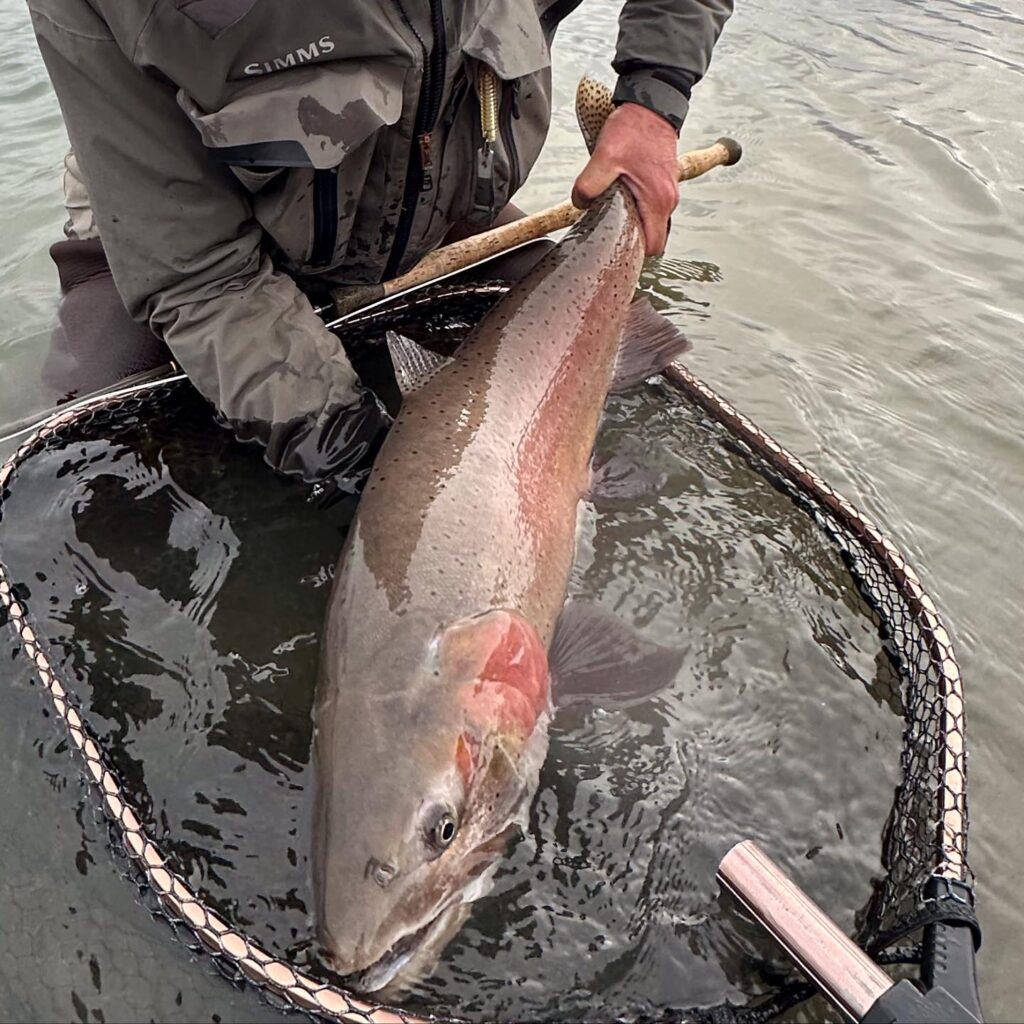 Colorado Fly Fishing, Alex Xenie Hall