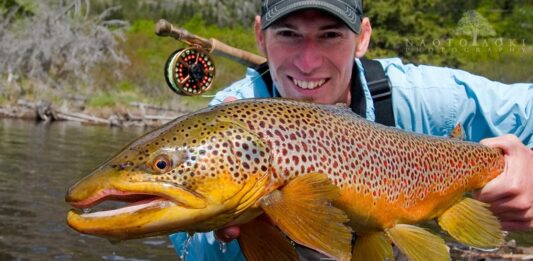 Fly Fishing the Bow River