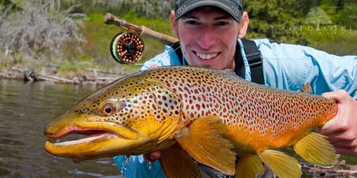 Fly Fishing the Bow River
