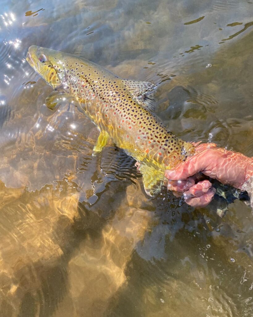 John Hunt - Moccasin Fly Club