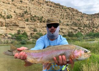 Top Colorado Fly Fishing Spots with John Hunt of Moccasin Fly Club