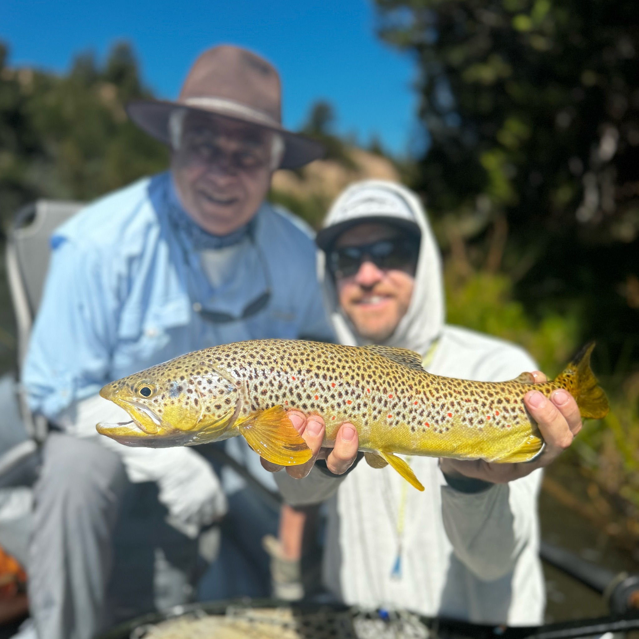 missoula fly fishing