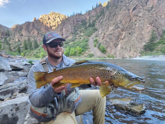 Night Fishing for Brown Trout