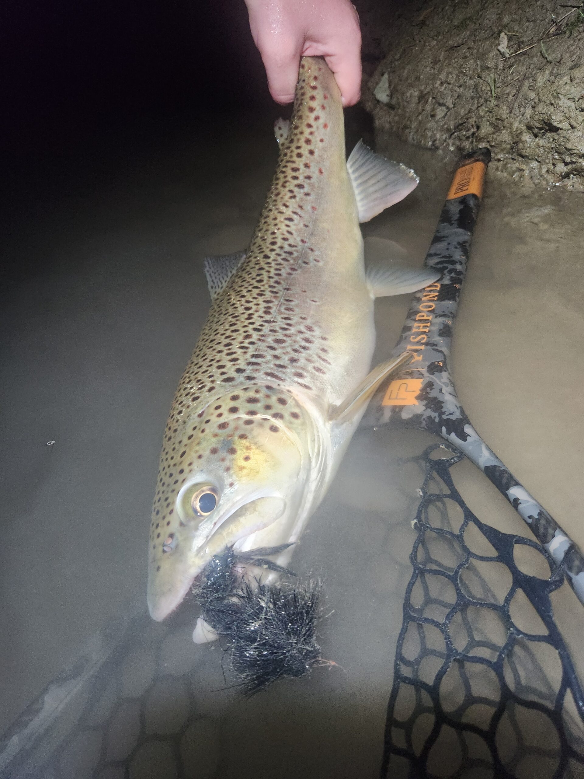 Night Fishing for Brown Trout in Pennsylvania