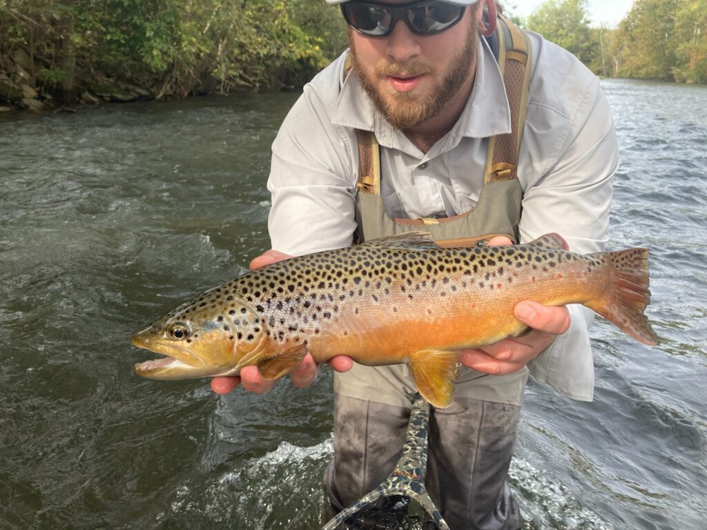 Night Fishing for Brown Trout in Pennsylvania