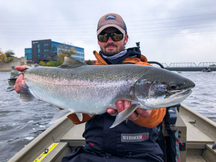Michigan Salmon and Steelhead