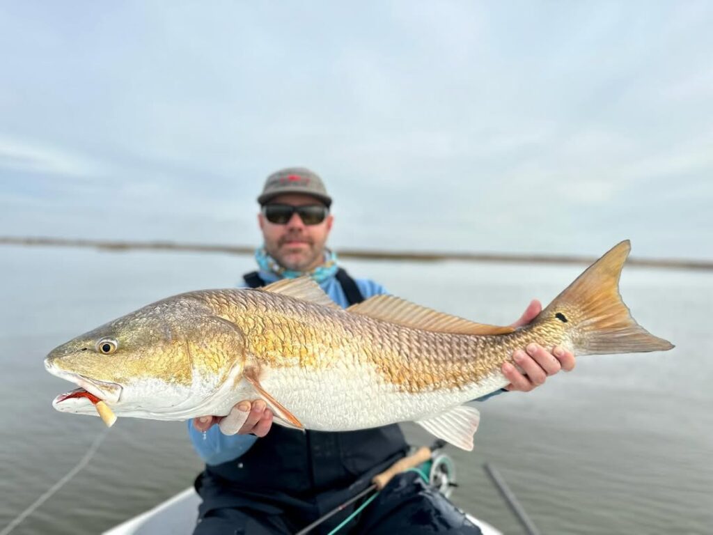 Redfish (Red Drum) Photo Provided by: Moccasin Fly Club Saltwater Fly Fishing https://www.instagram.com/p/C9TdE1ZNVYJ/?img_index=1
