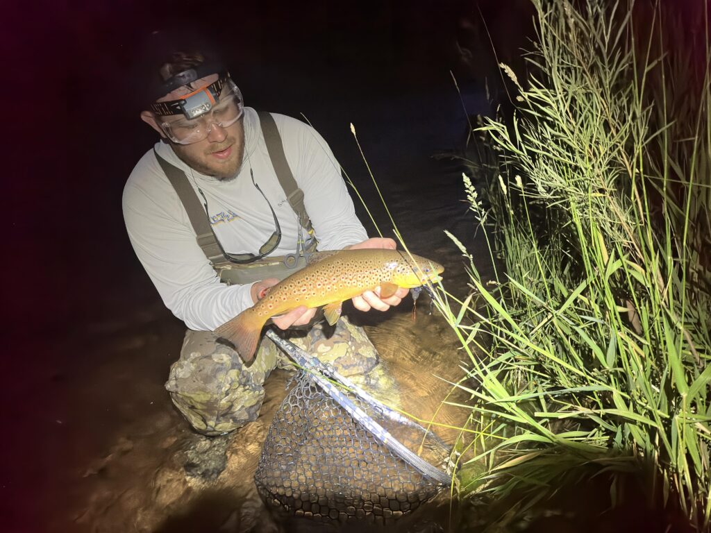 Night Fishing for Brown Trout in Pennsylvania