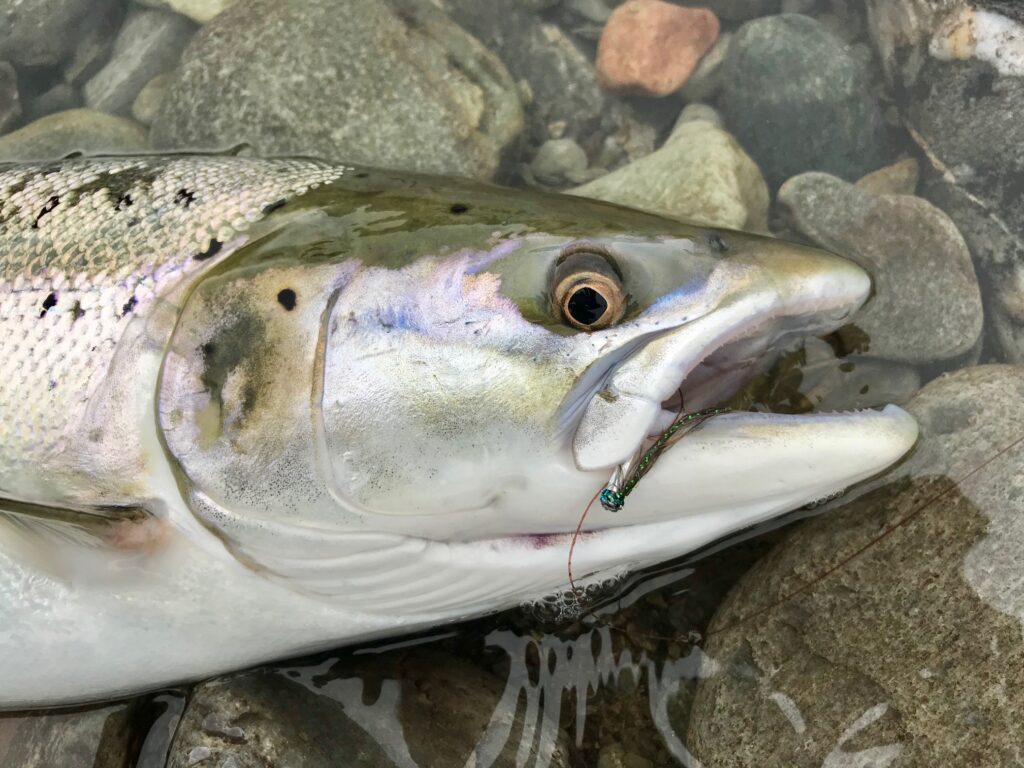 Jesper Fohrmann on tube flies 