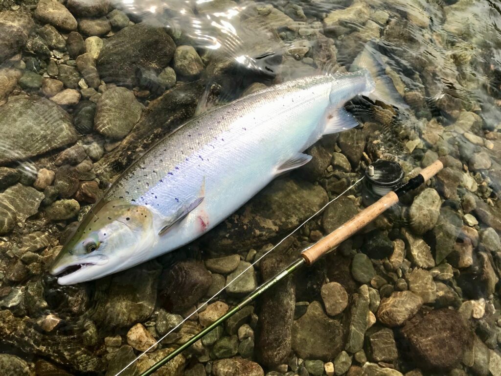 Jesper Fohrmann on tube flies 
