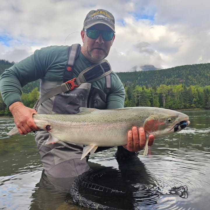 Calvin Tull holding a freshly caught Coho salmon in the river, showcasing the fish's sleek, silvery body and vibrant tail, surrounded by a scenic forested backdrop.