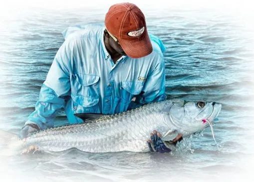 The Double Haul Tournament and Baja Blast Program 