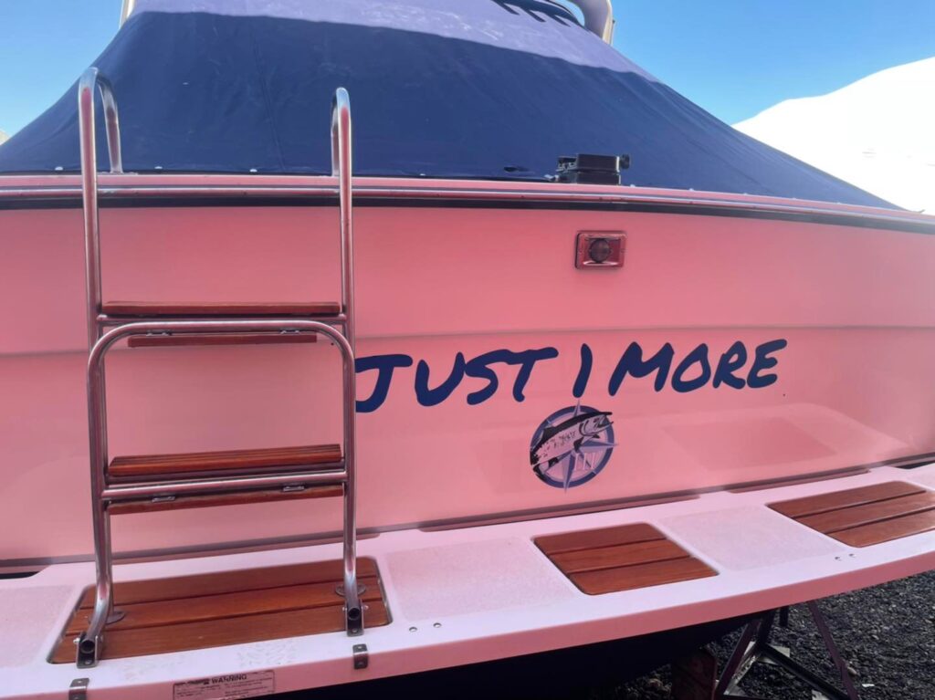 Alaska chinook on the Swing