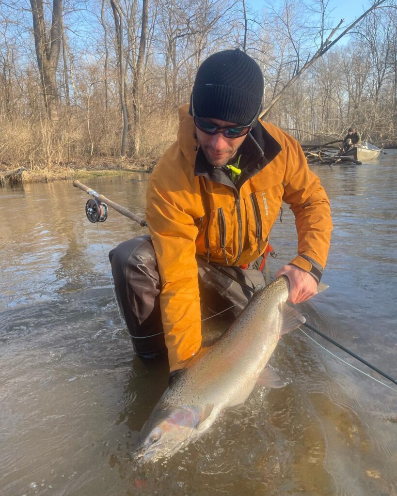 Alaska chinook on the Swing