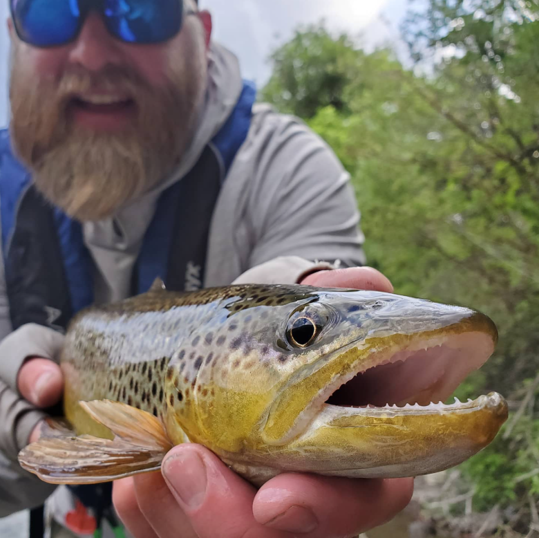 Trout Fishing the Provo River in Utah