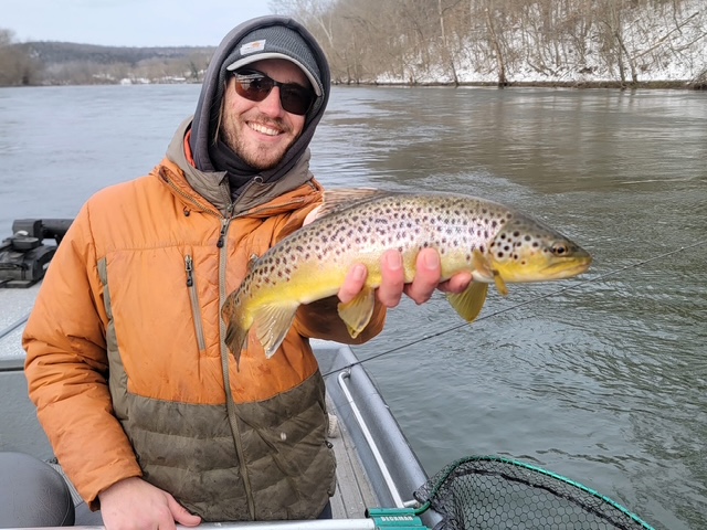 Alaska Chinook and Great Lakes browns