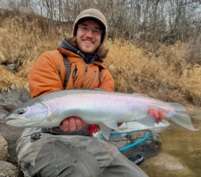 Alaska Chinook and Great Lakes browns