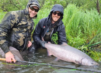 866 | Swinging for Alaska Chinook and Great Lakes Browns with Bailey Adamavich