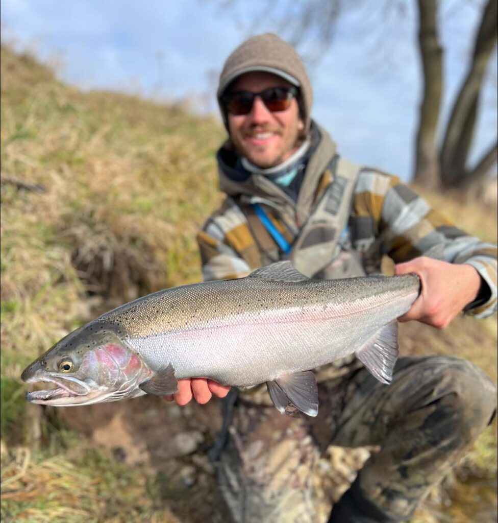 Alaska Chinook and Great Lakes browns