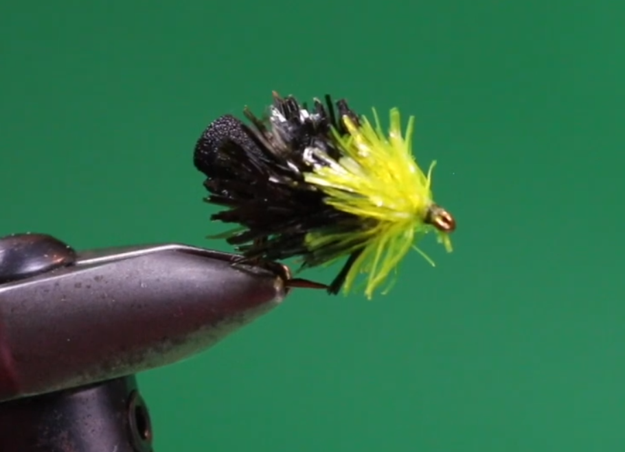 This image has an empty alt attribute; its file name is FAB.png