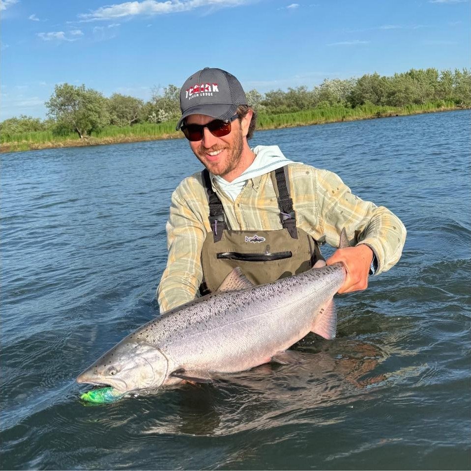 Alaska Chinook and Great Lakes browns