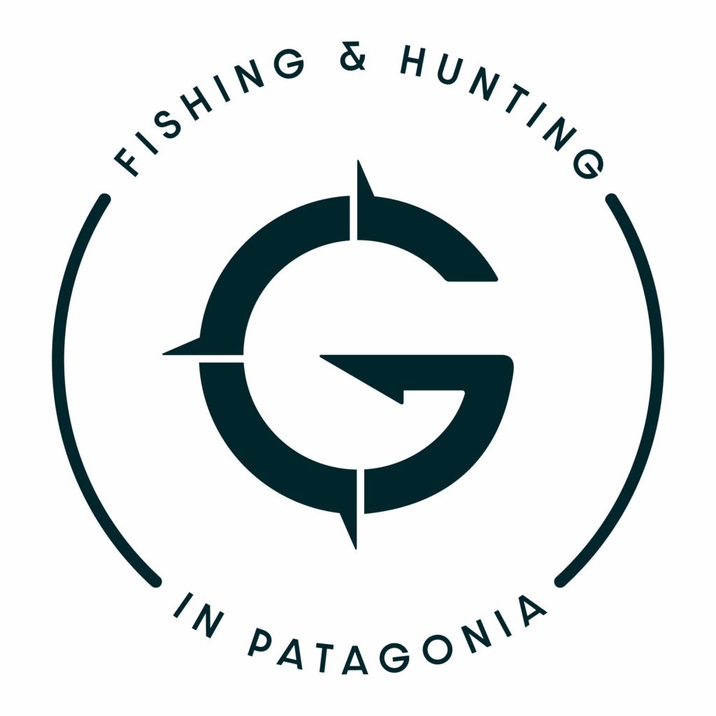 patagonia fly fishing