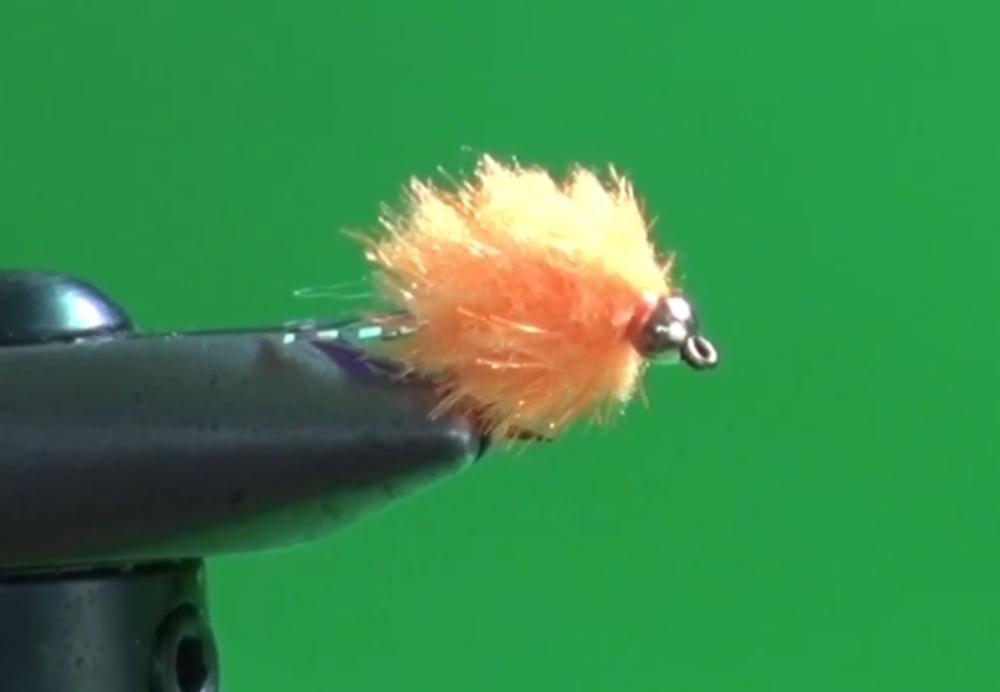 This image has an empty alt attribute; its file name is slush-jelly.png