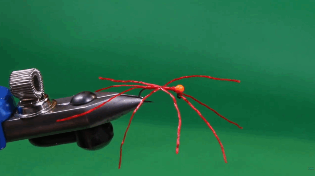 This image has an empty alt attribute; its file name is worm-attractor-1024x572.png