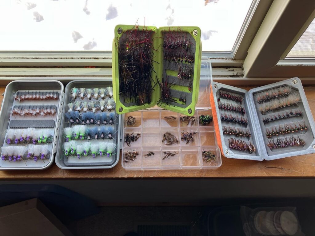 new zealand fly fishing