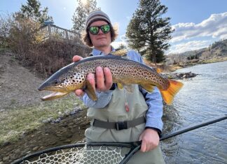 901 | Montana Spring Creek Fly Fishing with Chase Glowacki from Montana Fly Fishing Lodge Montana Spring Creek