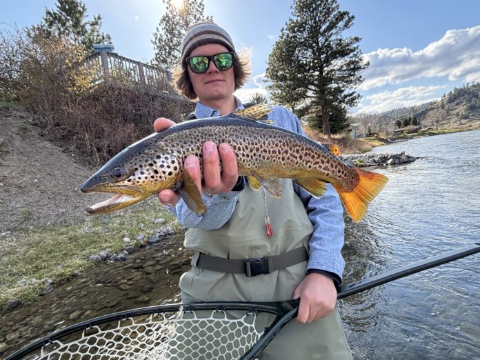 Montana Spring Creek