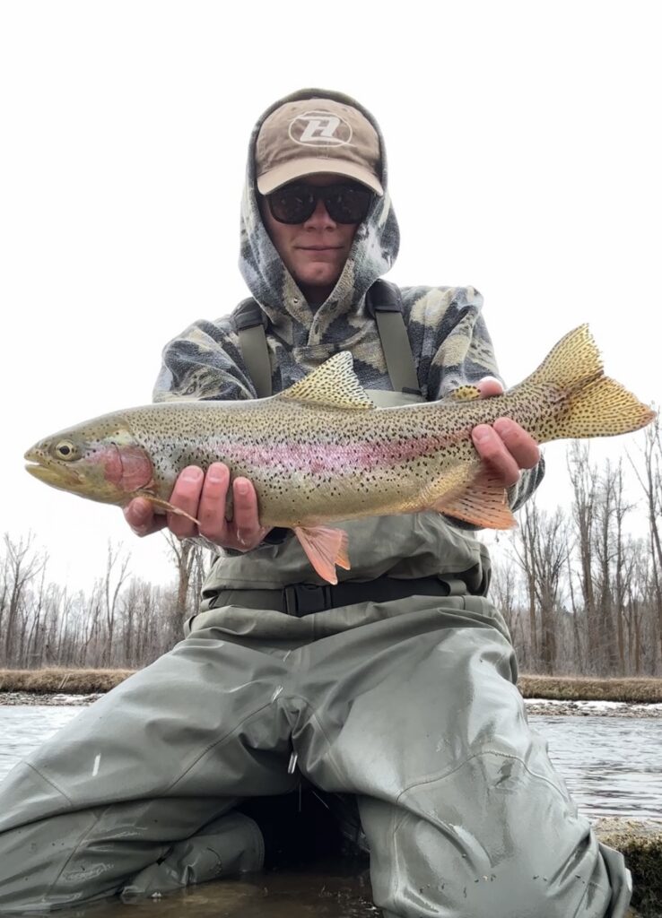 montana spring creek