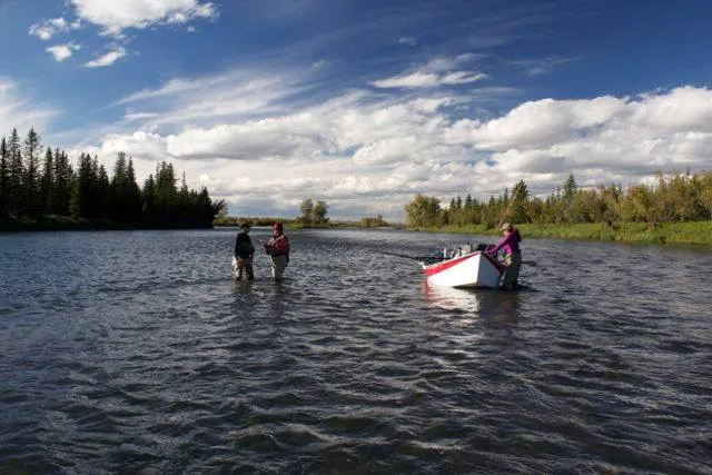 Bow River Fly Fishing -