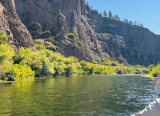 903 | Fishing the Trico Hatch and the Missouri River Dry Fly School with Craig & Warren DeMark fishing the trico hatch