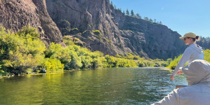 fishing the trico hatch