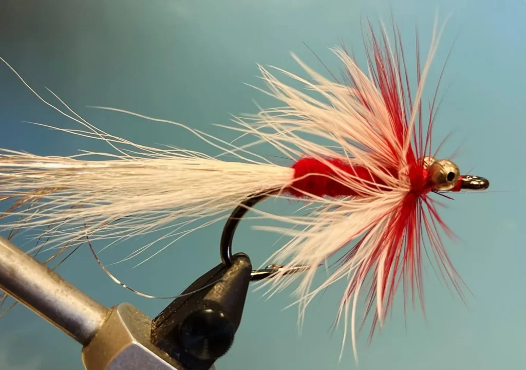 long island fly fishing