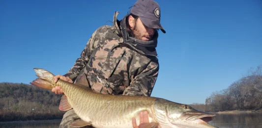 Fly angler Joe Goodspeed holding a large muskie in a landing net while fishing from a boat.